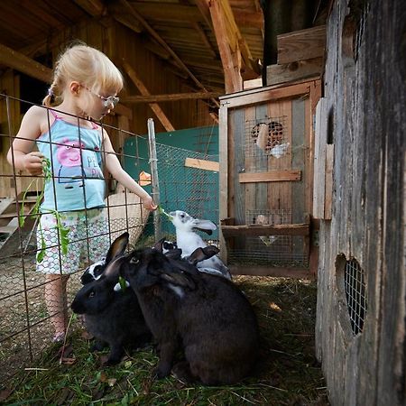 Tourist Farm Kolar Villa Ljubno Buitenkant foto