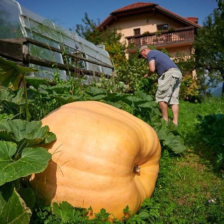 Tourist Farm Kolar Villa Ljubno Buitenkant foto