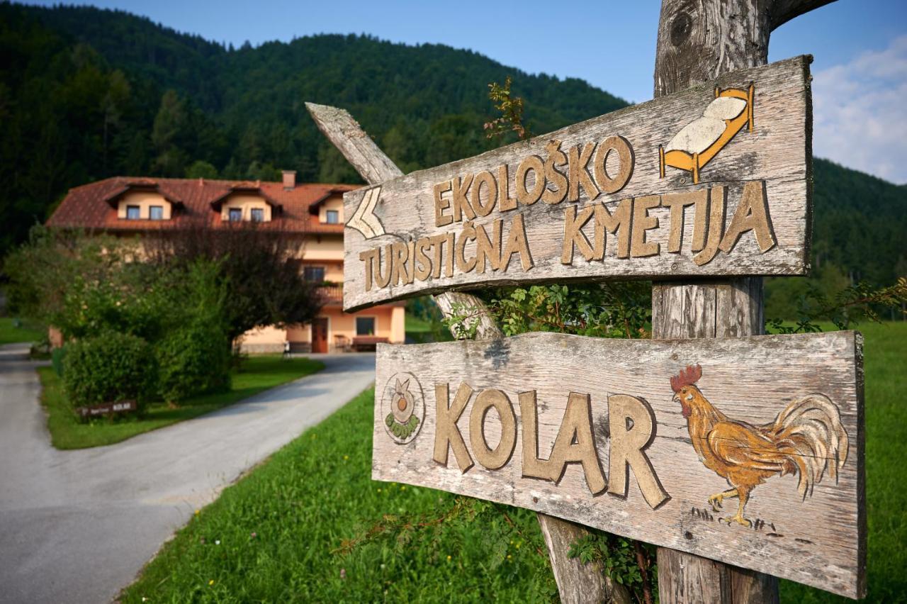 Tourist Farm Kolar Villa Ljubno Buitenkant foto