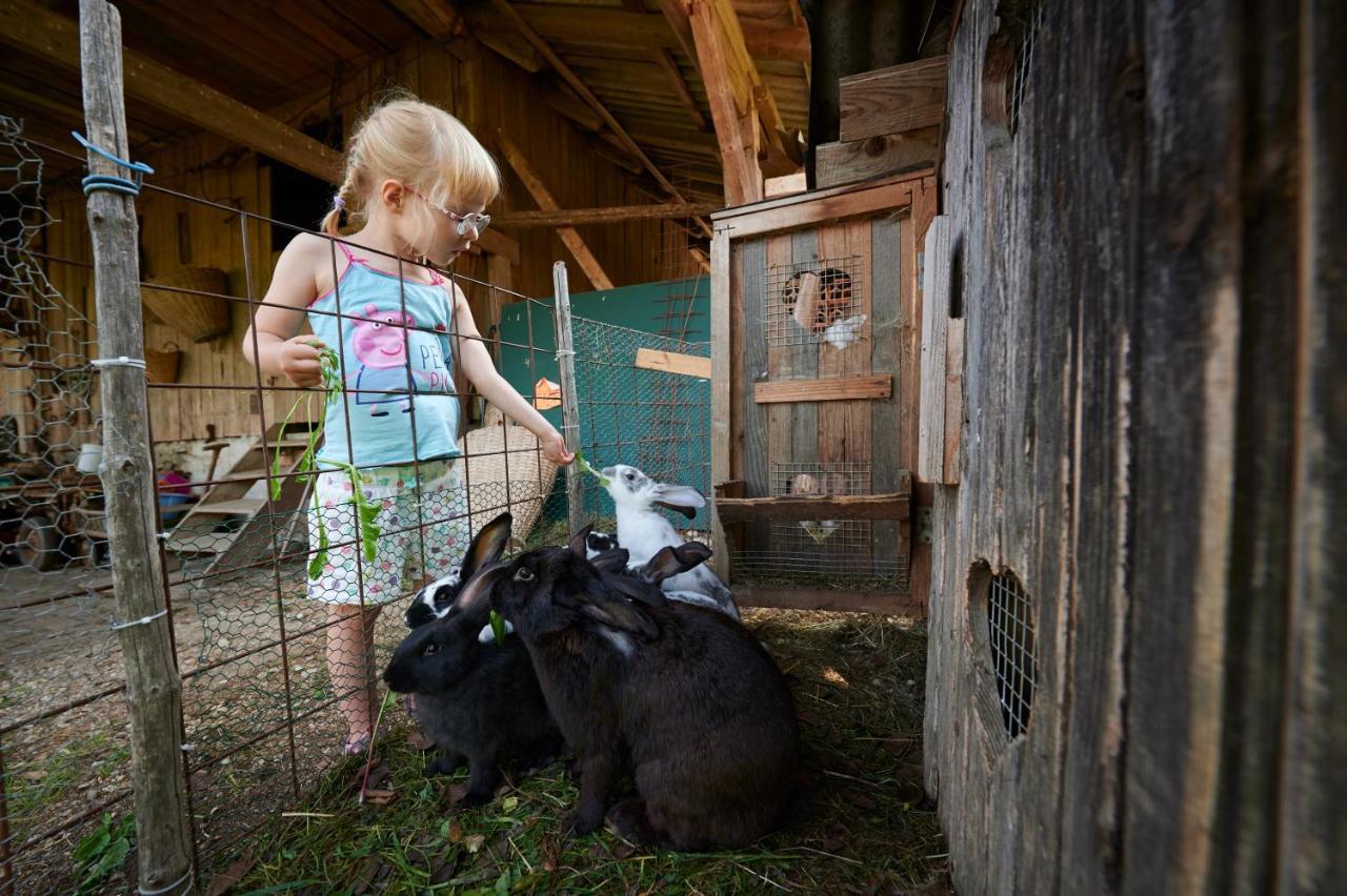 Tourist Farm Kolar Villa Ljubno Buitenkant foto