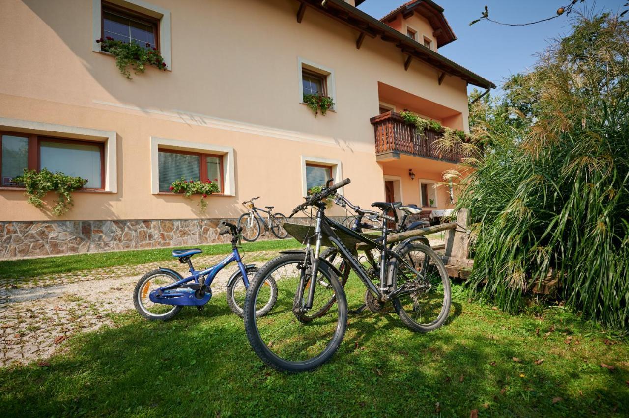 Tourist Farm Kolar Villa Ljubno Buitenkant foto