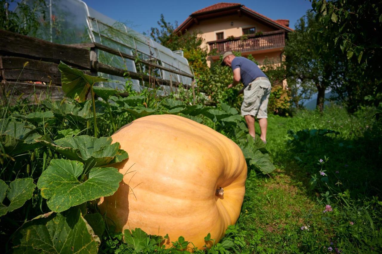 Tourist Farm Kolar Villa Ljubno Buitenkant foto