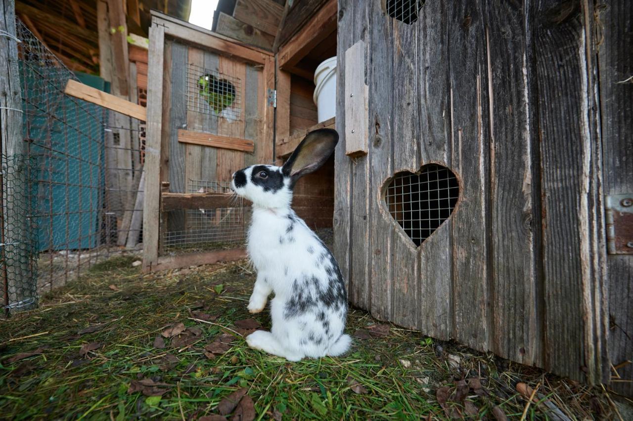 Tourist Farm Kolar Villa Ljubno Buitenkant foto