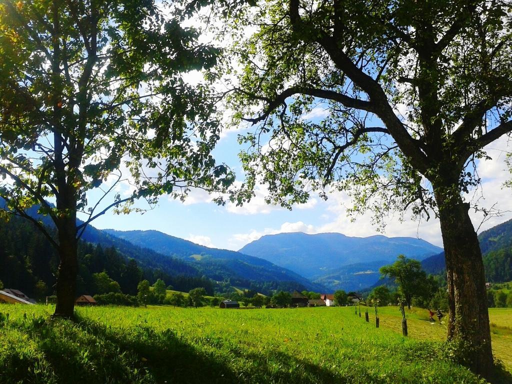 Tourist Farm Kolar Villa Ljubno Buitenkant foto