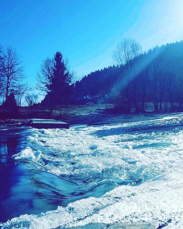 Tourist Farm Kolar Villa Ljubno Buitenkant foto